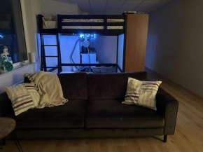 Entire studio appartement